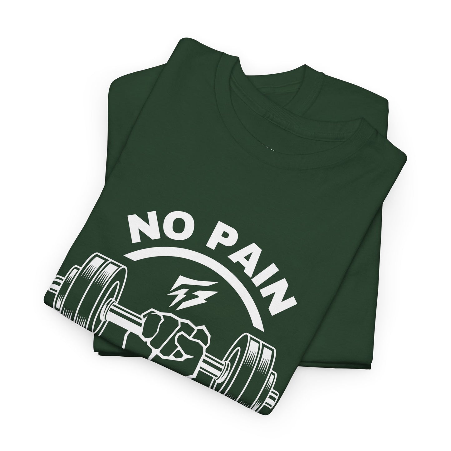 Lifting Flashlander Gym Shirt No Pain No Gain Quote Tee