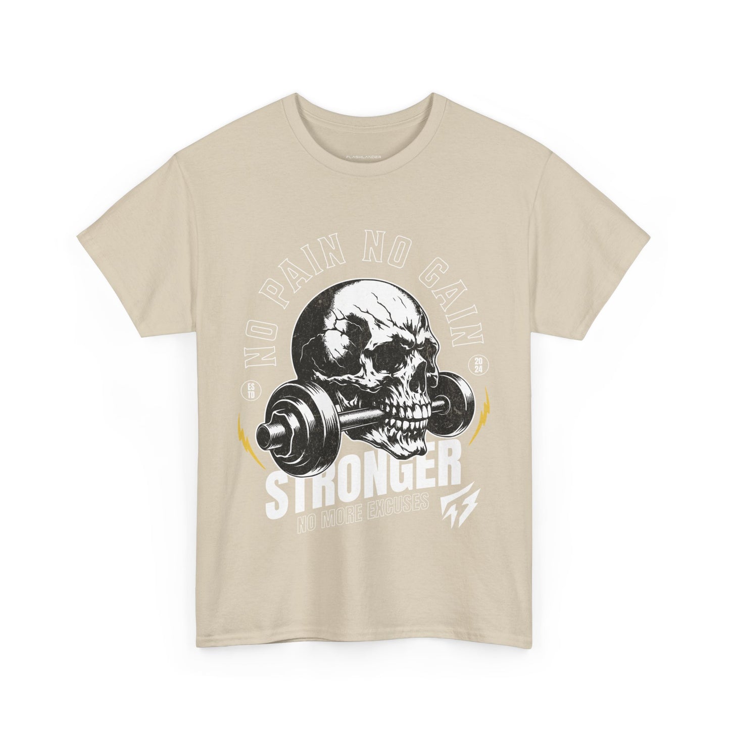 Skull Gym Shirt Flashlander No Pain No Gain Performance T-Shirt Cotton Unisex Charcoal Black Graphic Tee