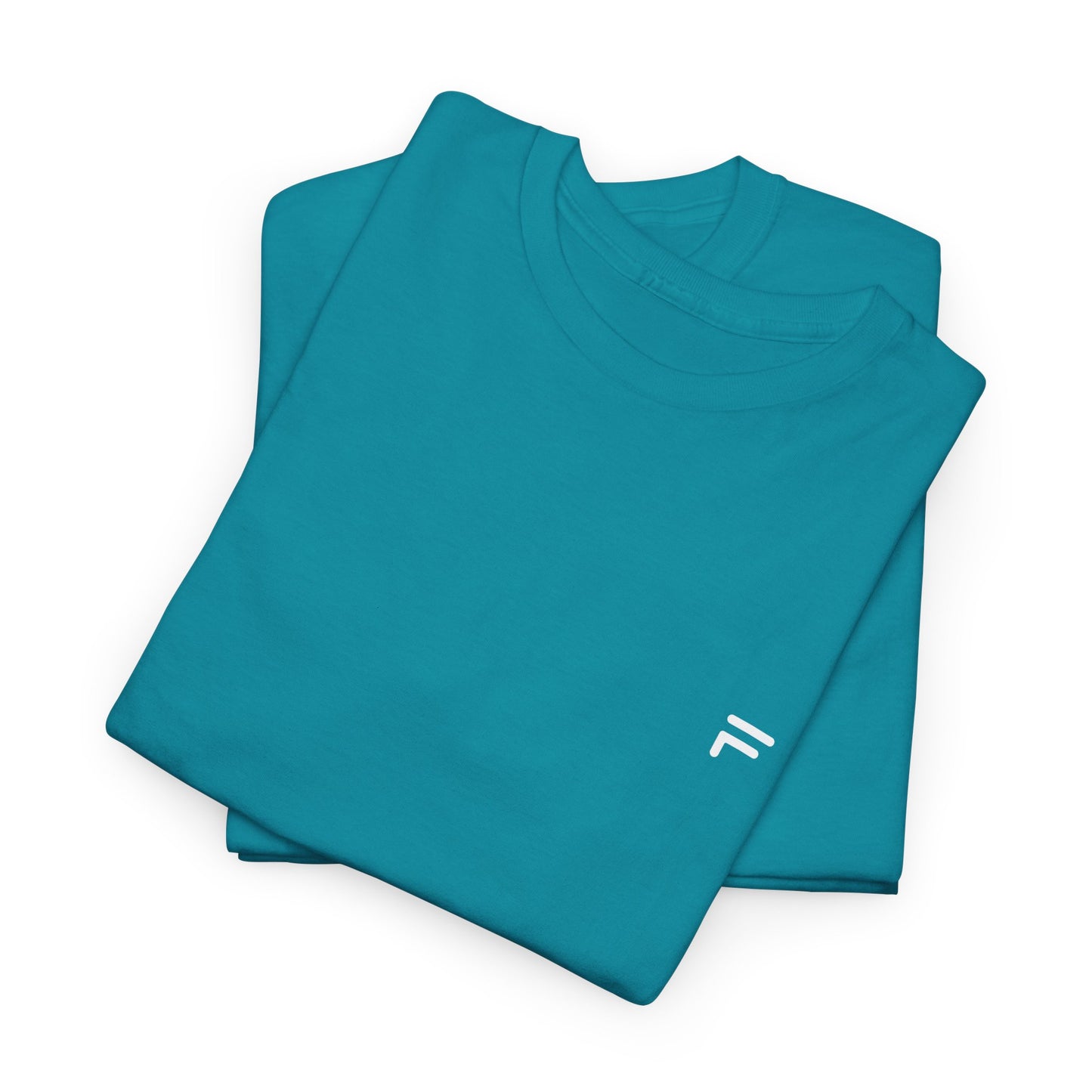 Unisex Heavy Cotton Tee Branded Flashlander