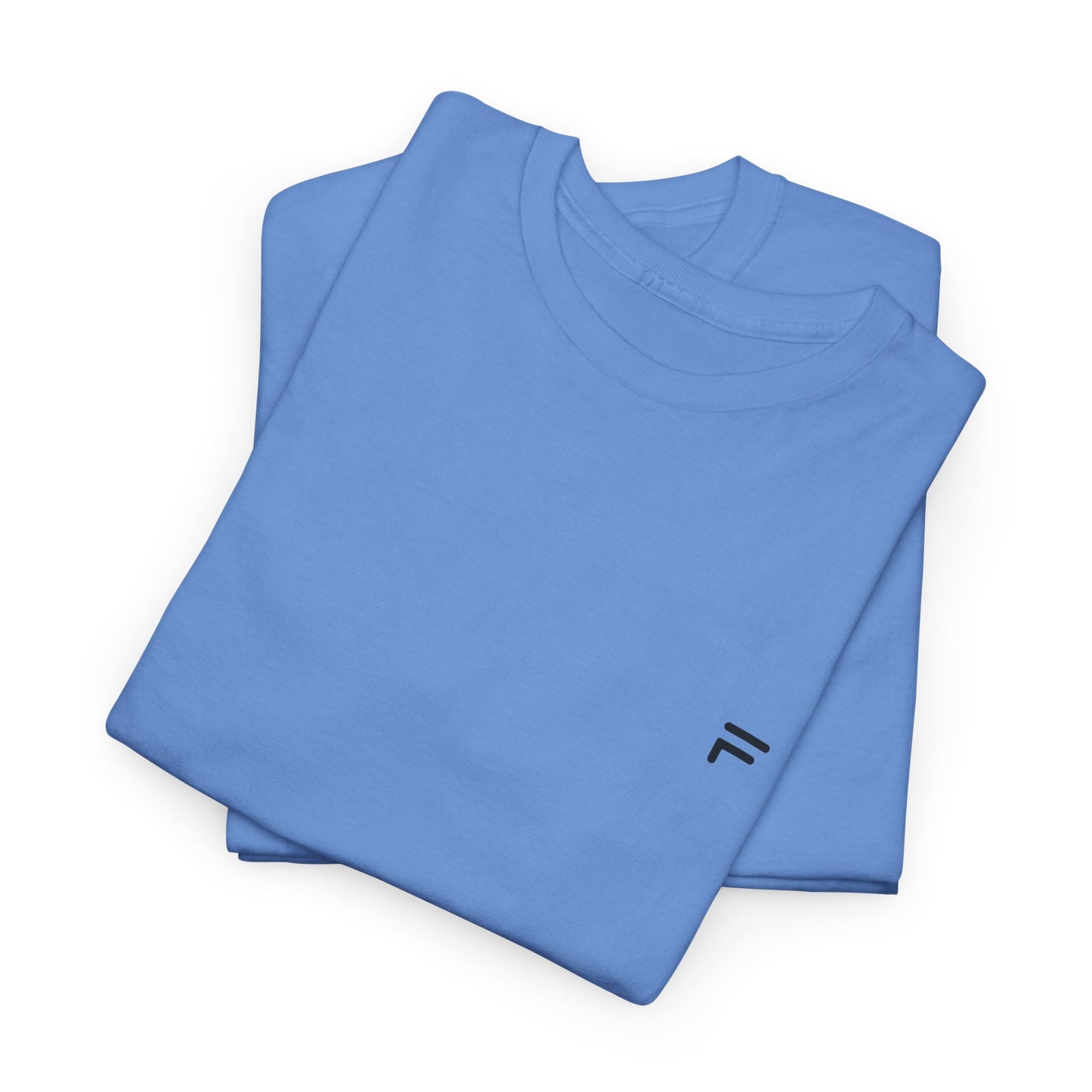 Unisex Heavy Cotton Tee Branded Flashlander