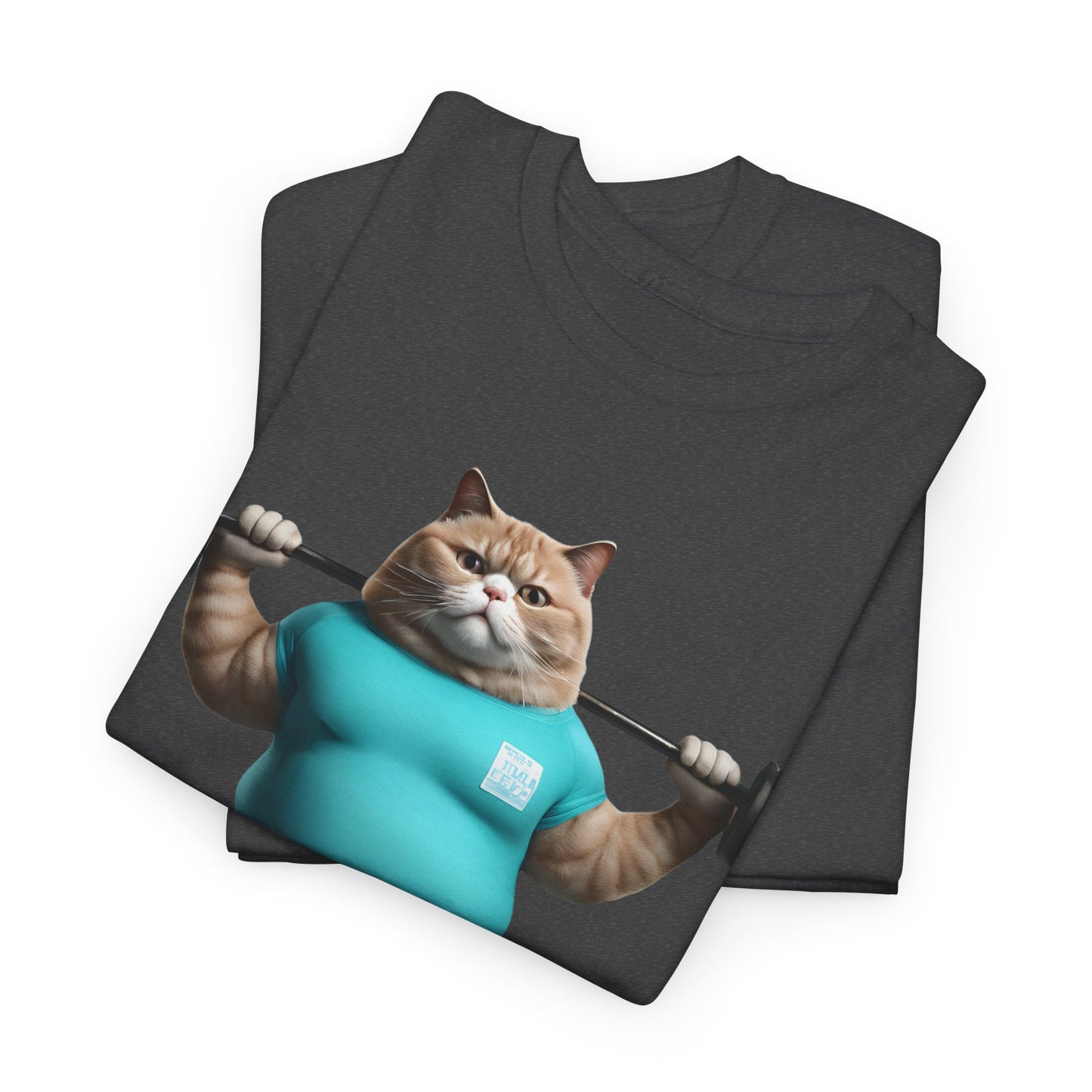 Funny Fat Cat Lifting - Flashlander Gym Shirt